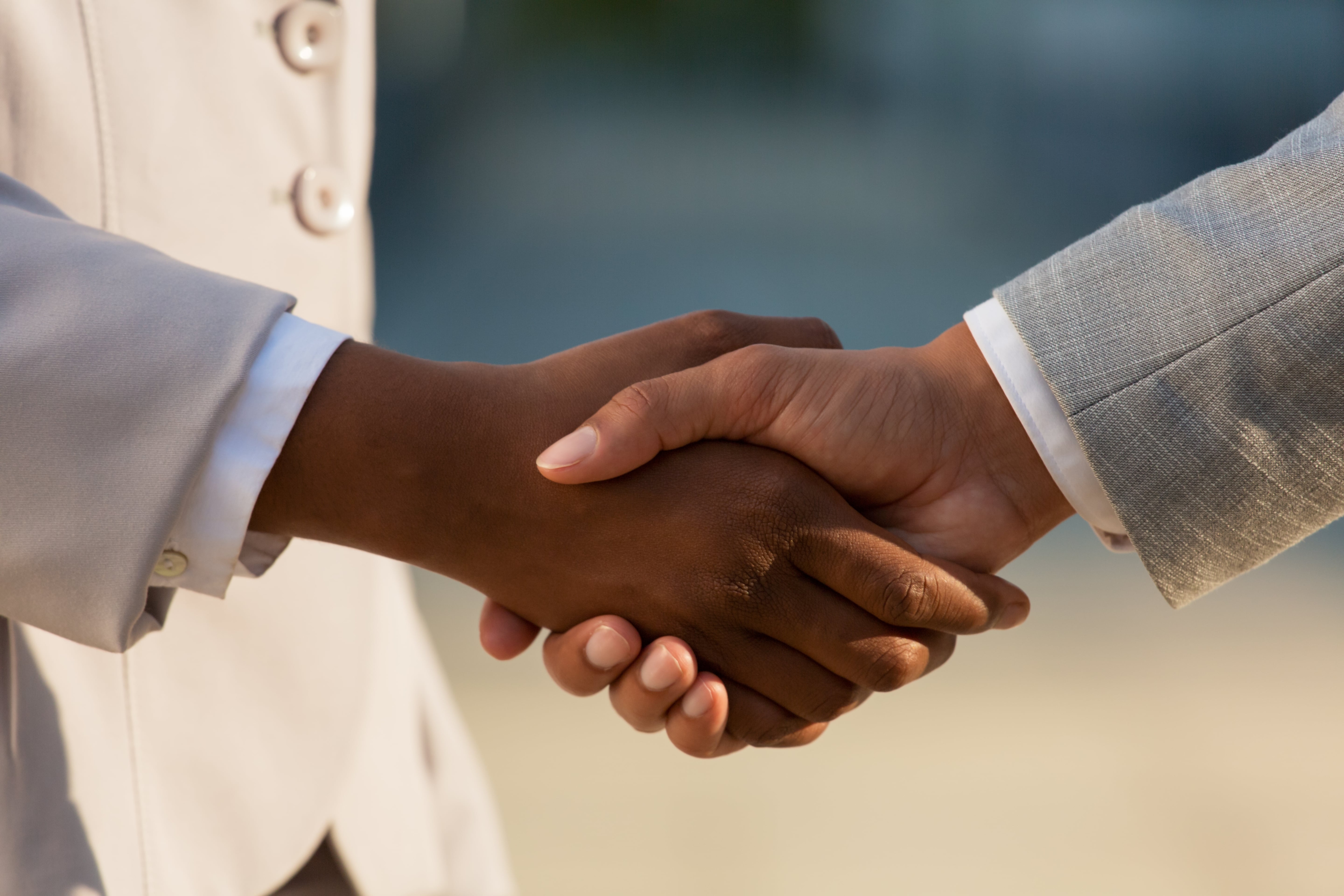 Sponsor or Partner with ILID